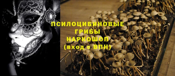гашик Абаза
