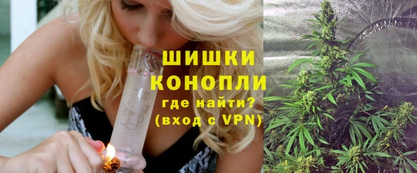 дурь Алзамай